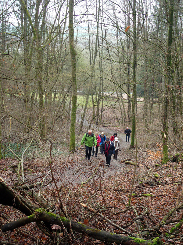 Wandern%20nach%20Balduinstein%2017.2.13%20001_2304x3072